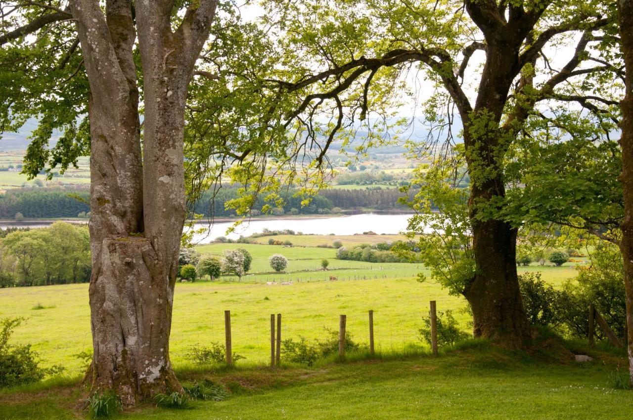 Holiday home Abhainn Ri Blessington