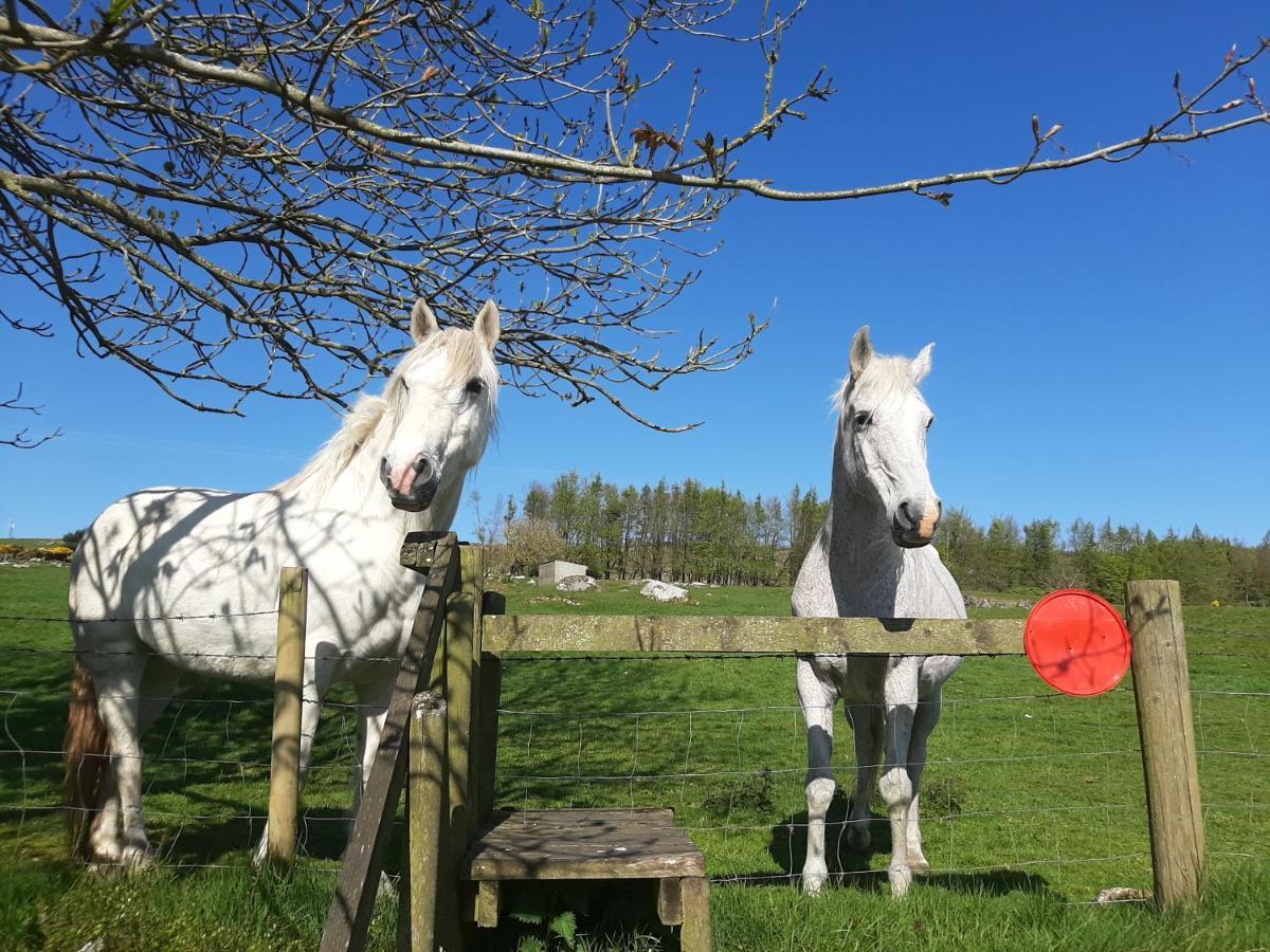Holiday home Abhainn Ri Blessington